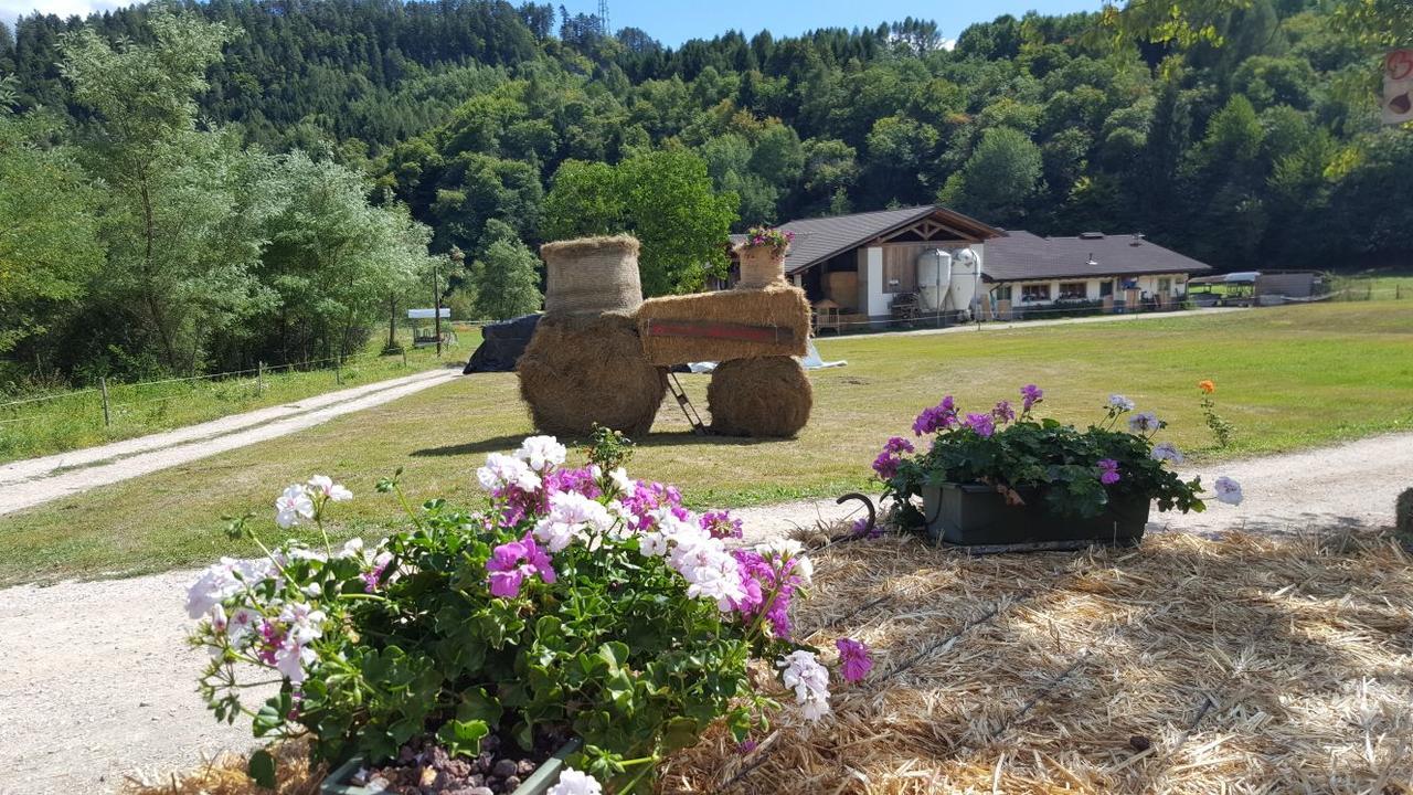 Agriturismo Fattoria Dalcastagne Villa Torcegno Exterior photo